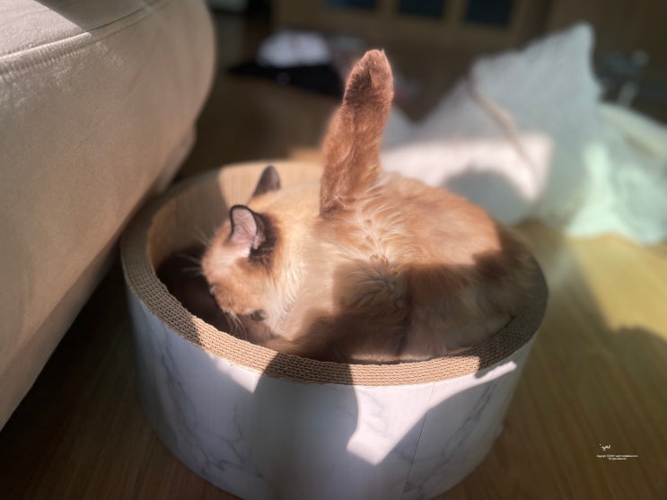  [Monthly diary] 9월의 롱숑로그