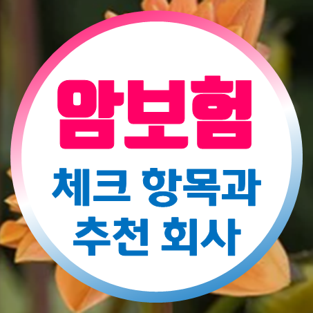  실버암보험 가격 비교 시 체크할 사항과 추천하는 회사 가입 조건 확인
