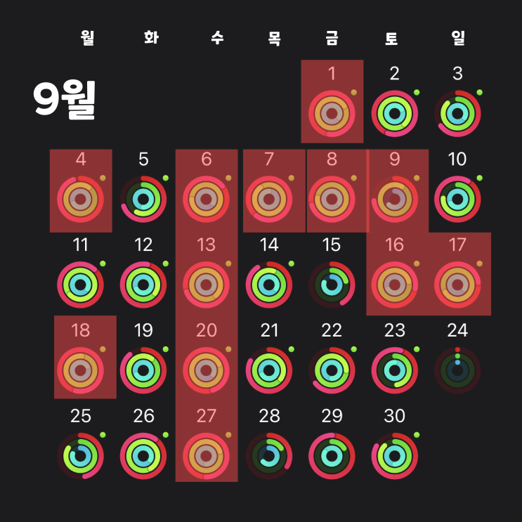  9월 수영정산
