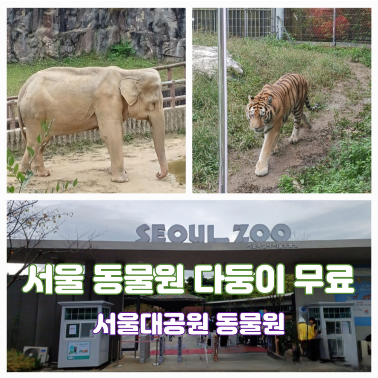 서울대공원동물원 다둥이카드 다자녀카드 무료입장 방법 서울대공원동물원 다둥이카드 다자녀카드 무료입장 방법