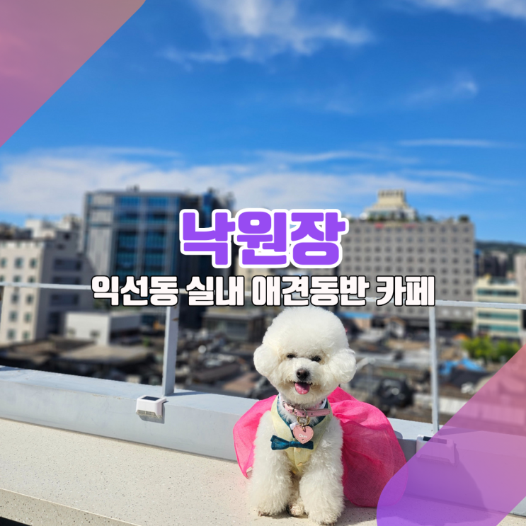  [서울 익선동 애견동반 카페_낙원장] 옛 여관의 미드센츄리한 변신