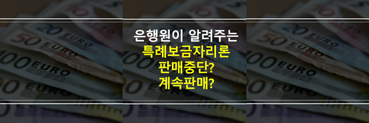  (은행원이 알려주는) 특례보금자리론 중단? 계속 판매? 우대형 조건