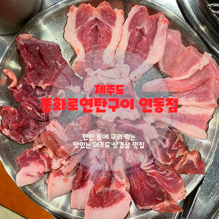  제주도 삼겹살 맛집 추천 동화로연탄구이 메뉴 가격