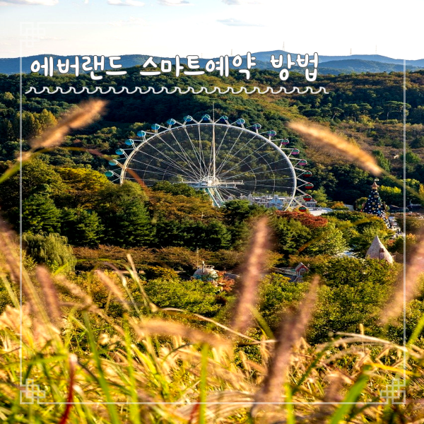  에버랜드 스마트 예약 방법 제휴카드 할인 반값 예매 성공 Tip