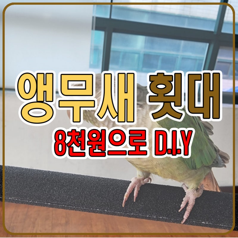 8천 원으로 앵무새 발톱 갈이 횟대 만들기