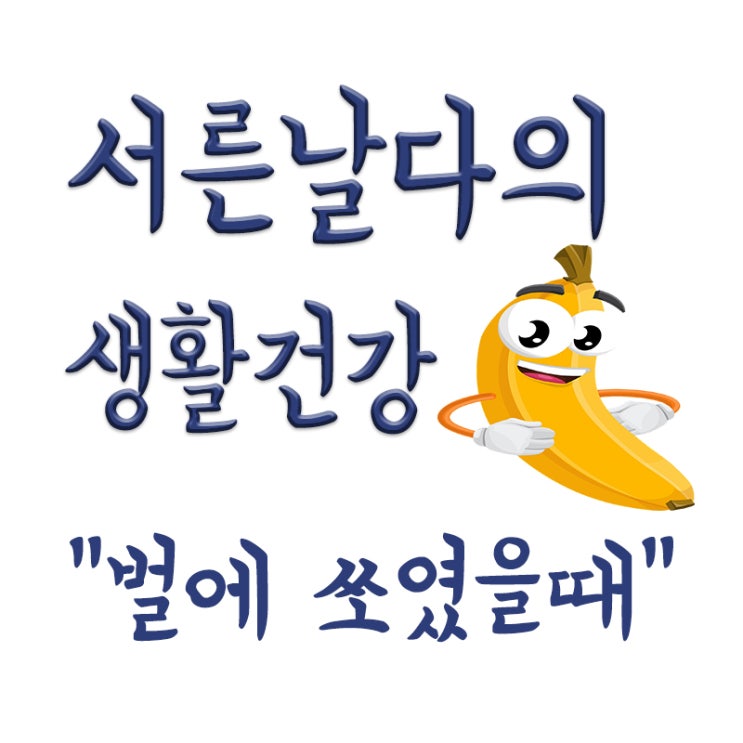  말벌에 쏘여서 사망 사고,벌에 쏘였을 때,벌 쏘임 사고 예방법,벌 쏘인 후 주요 증상