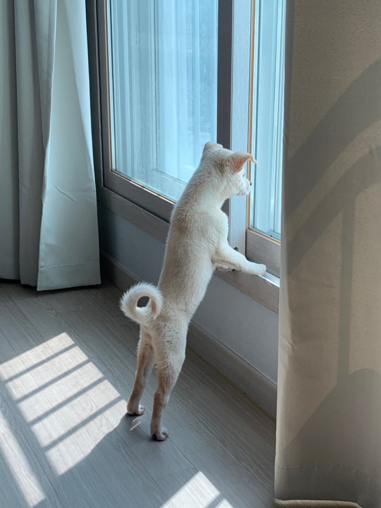  잘크네 마로~