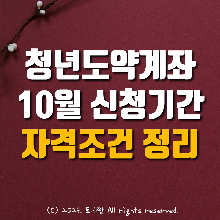 청년도약계좌 10월 신청기간, 자격조건 (나이. 개인/가구소득), 가입 방법, 11개 은행