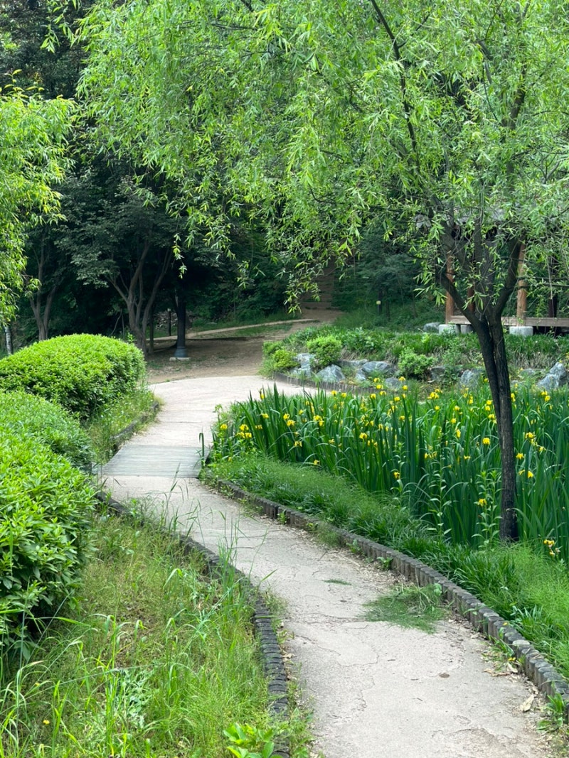 서울 근교 | 한적하게 즐기는~ 도심속 남양주 다산 황금산문화공원 주차 숲놀이터 등산