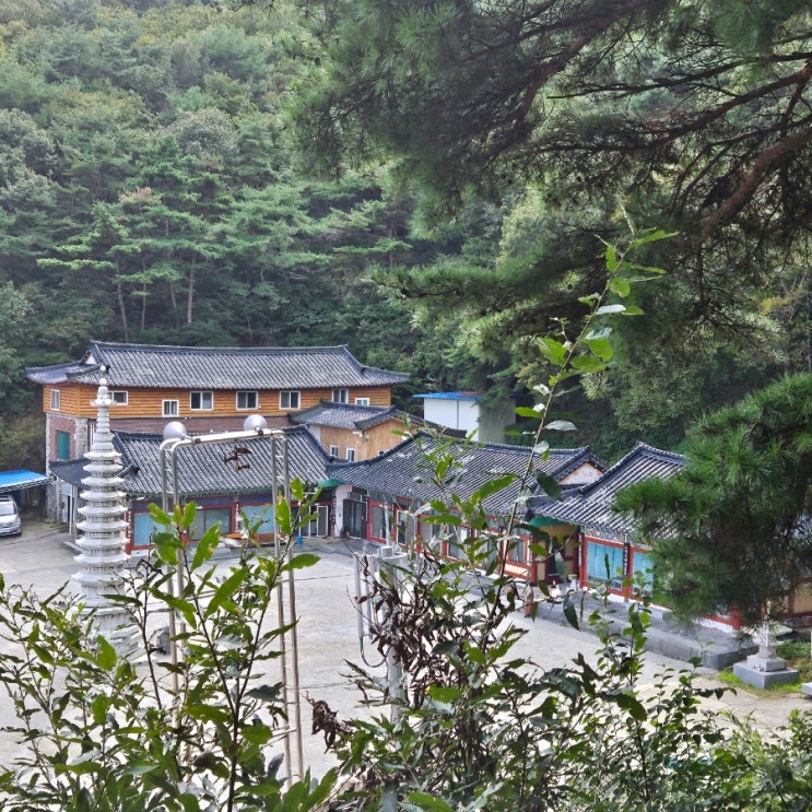  충남 예산 | 탈해사 (마법같은 산세 , 천년고찰 , 장수 턱걸이 바위)