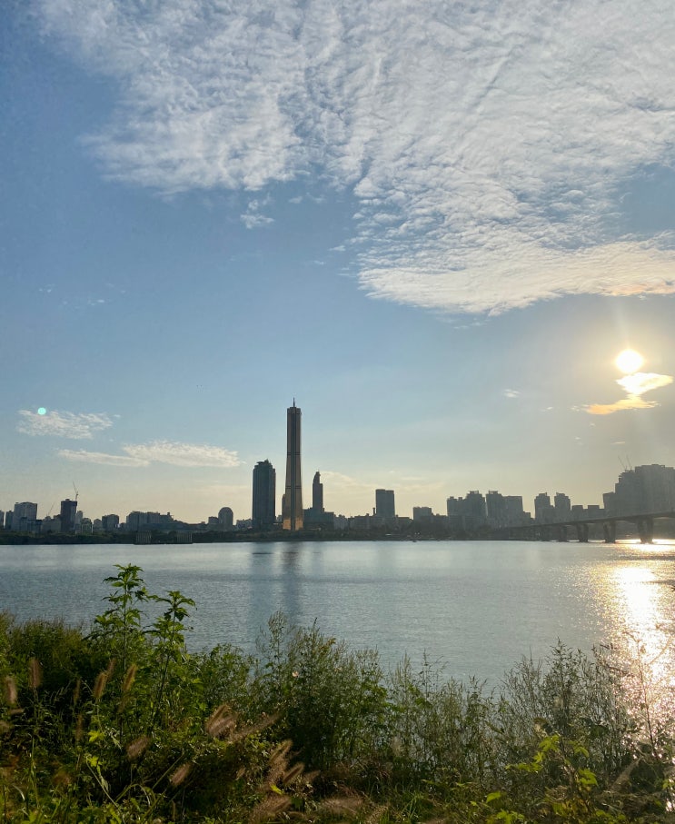  [서울 용산구] 이촌 한강공원 주차창 주차비 / 한강 노을 일몰 명소, 원효대교 여의도 불꽃축제 명당 위치