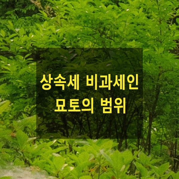  상속 - 상속세 비과세인 묘토의 범위