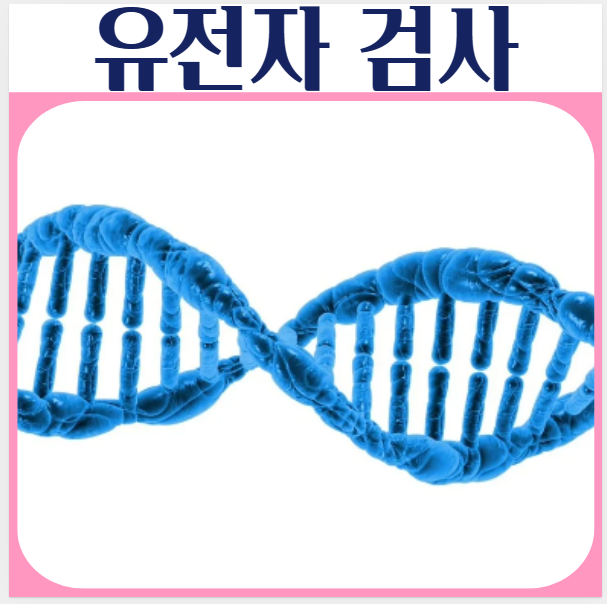 유전자검사 종류 검사로 확인가능한것들 장점 치료