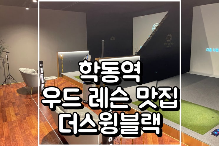  강남 학동역골프레슨 3번 우드 레슨 받은 후기 - 더스윙블랙 논현