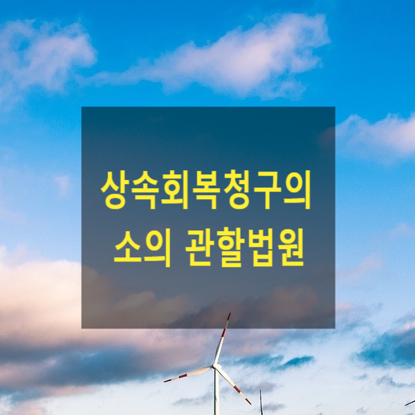  상속 - 상속회복청구의 소의 관할법원(가액지급청구권과 구분)