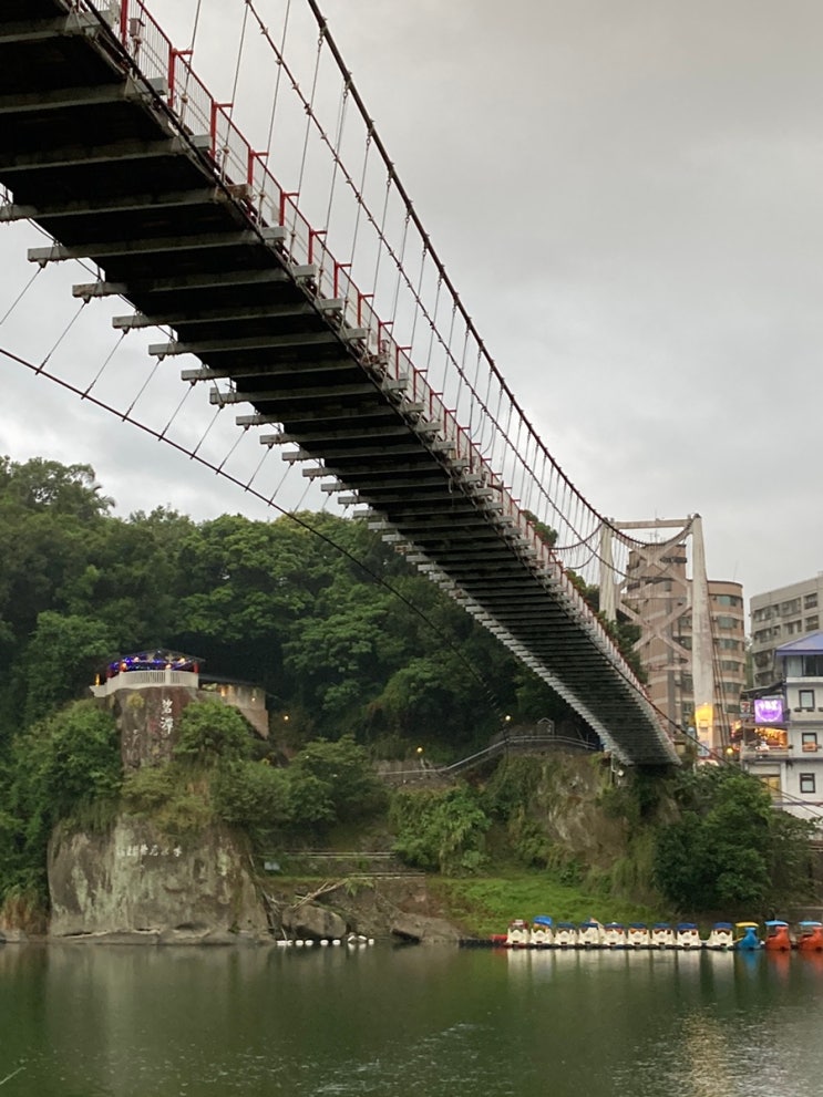  [화어문장학금] 대만일상 Day41, 대만 국립 사범대 언어중심 수업, 사범대 대만식 아침 식당, 신디엔 YULONG CITY 백화점, 신디엔 비탄 풍경구, 대만식 오리고기 국수