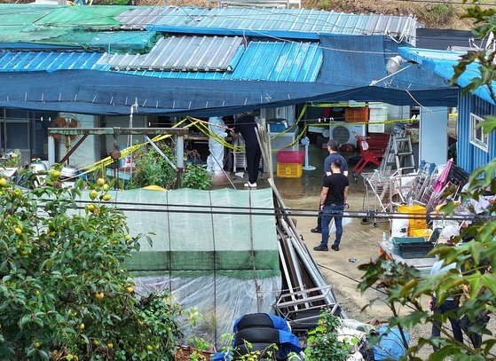 추석에도 발달장애 가족 비극…16% "극단선택 고민" 추석에도 발달장애 가족 비극…16% "극단선택 고민"