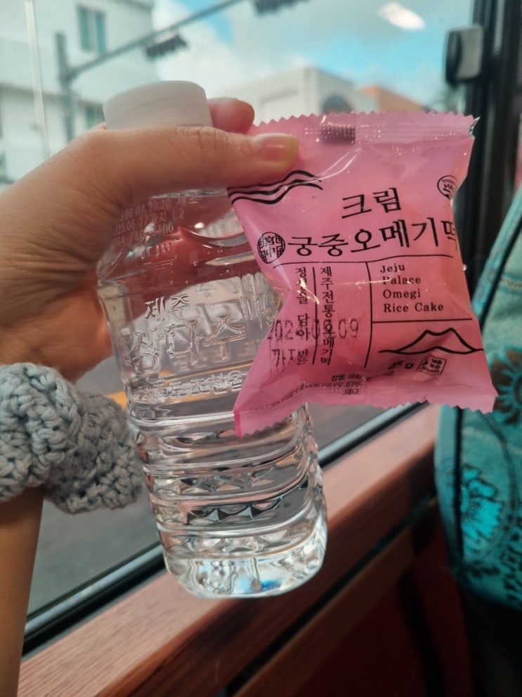  제주도 버스투어 핫플트립 동부감성투어 1편 (ft. 뚜벅이들에게 단비 같은 희소식)