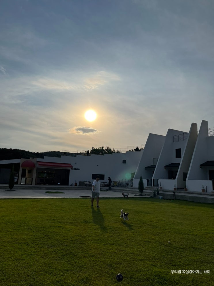  경주 애견동반펜션 페리토펜션 내돈내산 리뷰