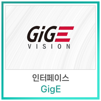  [비전지식] 인터페이스 - Gigabit Ethernet(GigE)