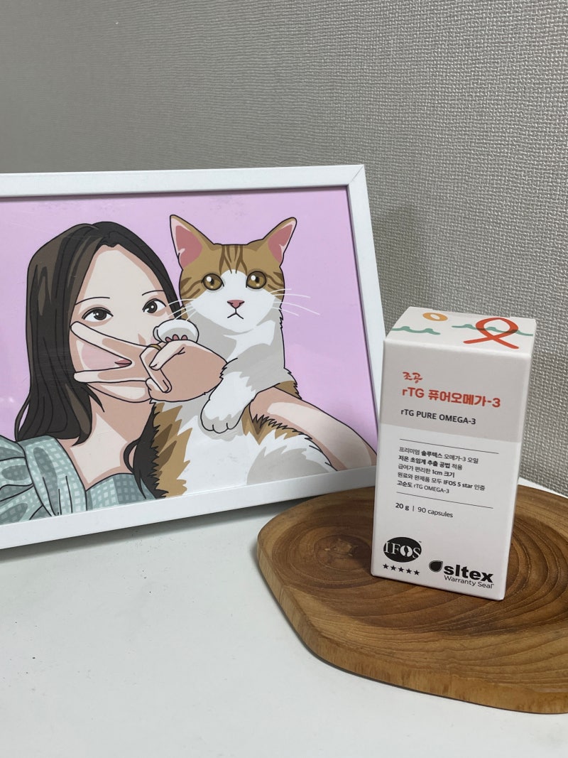 내돈내산 고양이 영양제 추천 조공 오메가3 급여후기 효과부터 부작용까지