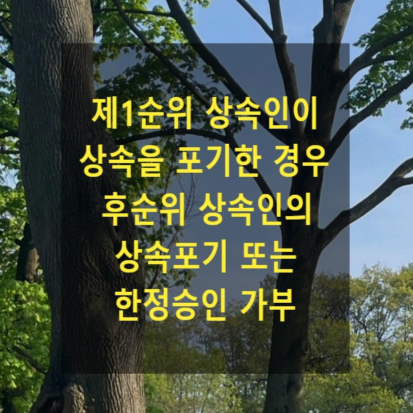  상속 - 제1순위 상속인이 상속을 포기한 경우 후순위 상속인이 상속포기 또는 한정승인 가능한지 여부