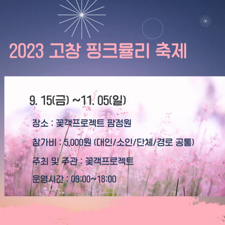  고창 핑크뮬리 축제에 대해 알아보자(ft. 지역 활성화)