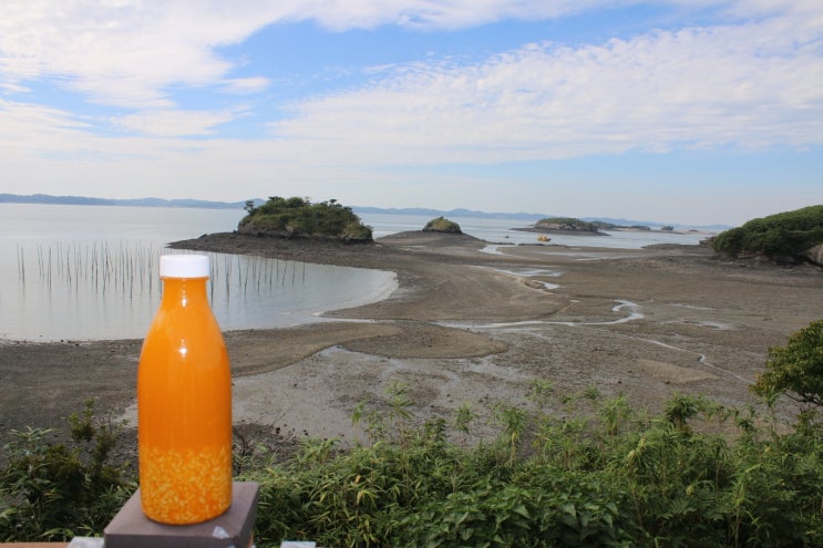  충남 남당항 홍성 죽도 당일치기 여행 배시간 정보
