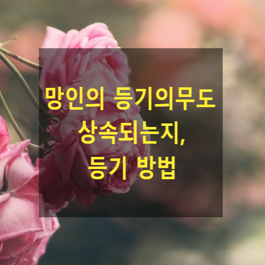  상속 - 망인의 등기의무도 상속되는지, 상속된다면 등기 방법(망인의 매수인에게 마인의 명의로 직접등기 가부)