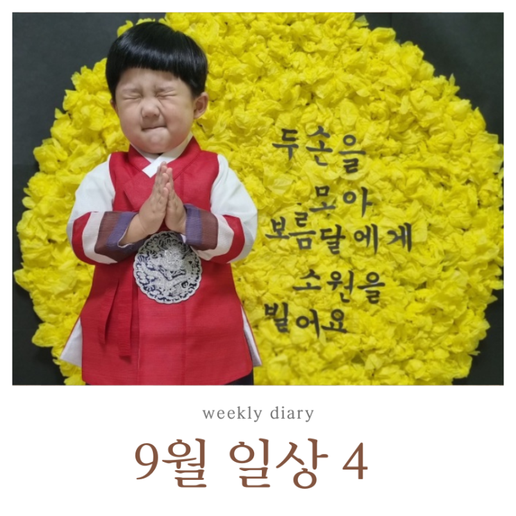  9월 4주 일상