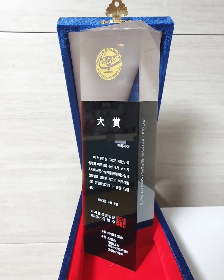 메타피아, 대한민국 올해의 히트상품 대상 수상