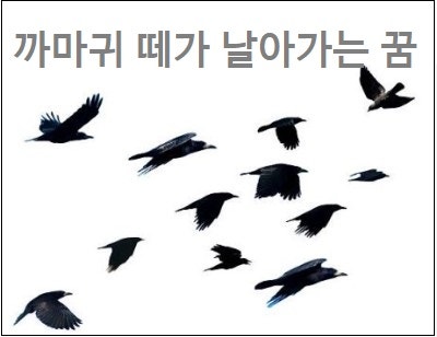 까마귀떼 꿈 까마귀떼 꿈해몽 까마귀 떼가 날아가는 꿈