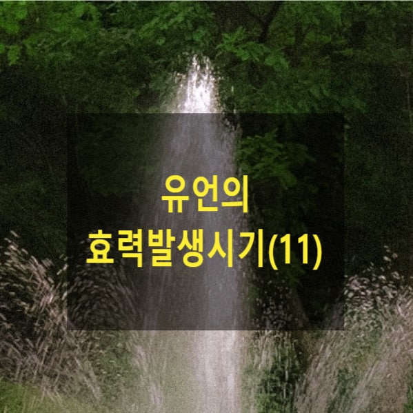  유언의 효력발생시기(11)