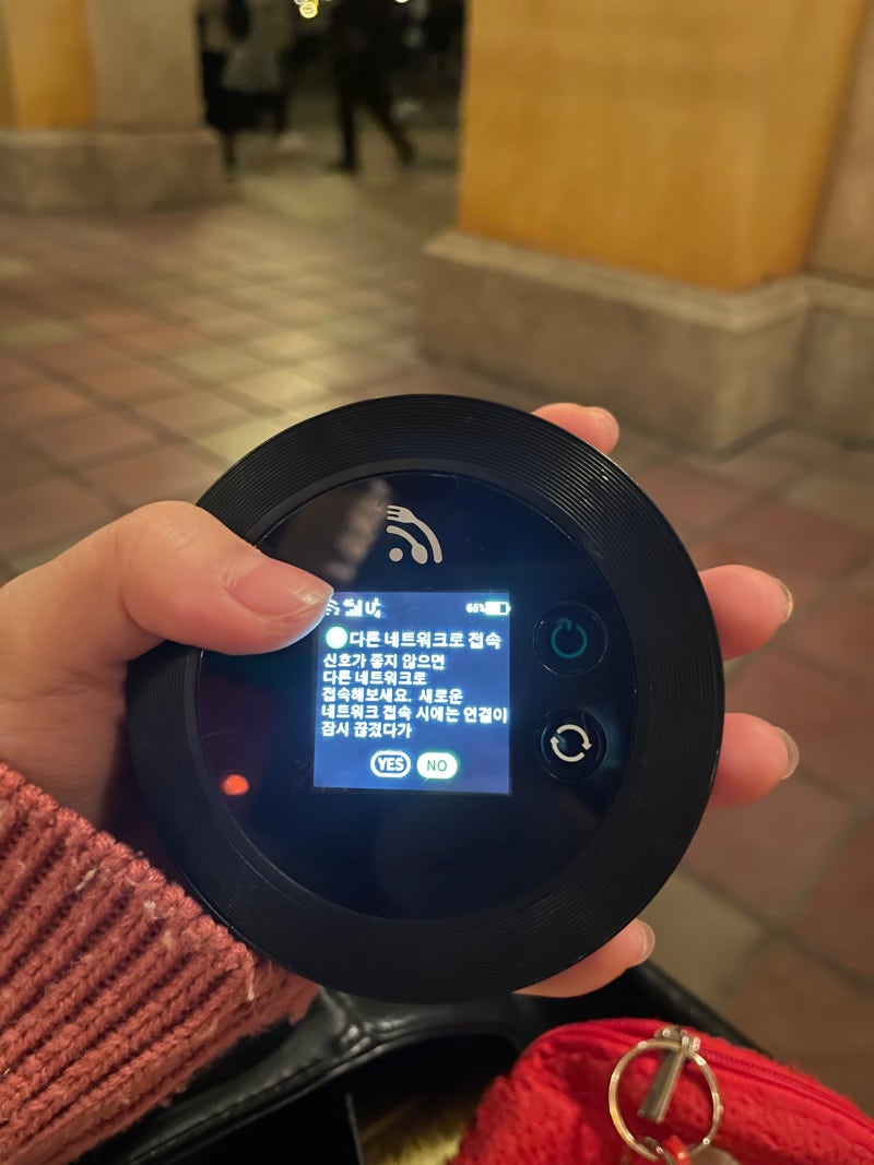 도쿄ㅣ중졸업 여동생 도쿄여행 시켜주기 2 (2월 디즈니씨, 디즈니랜드와 씨 캐리어 코인락커, 디즈니 어플, 와이파이 도시락 안됨) :  네이버 블로그