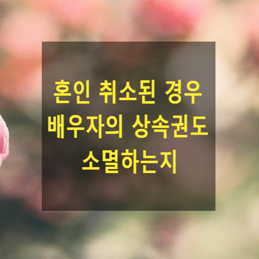  상속 - 혼인 취소된 경우 배우자의 상속권도 소멸하는지