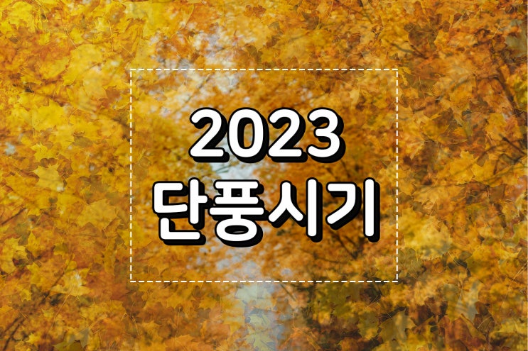 2023 가을 단풍절정시기(+전국 단풍명소 추천)
