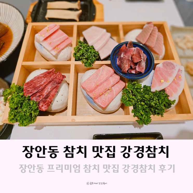 장안동 프리미엄 참치 맛집 강경참치에서 스페셜코스 후기 장안동 프리미엄 참치 맛집 강경참치에서 스페셜코스 후기