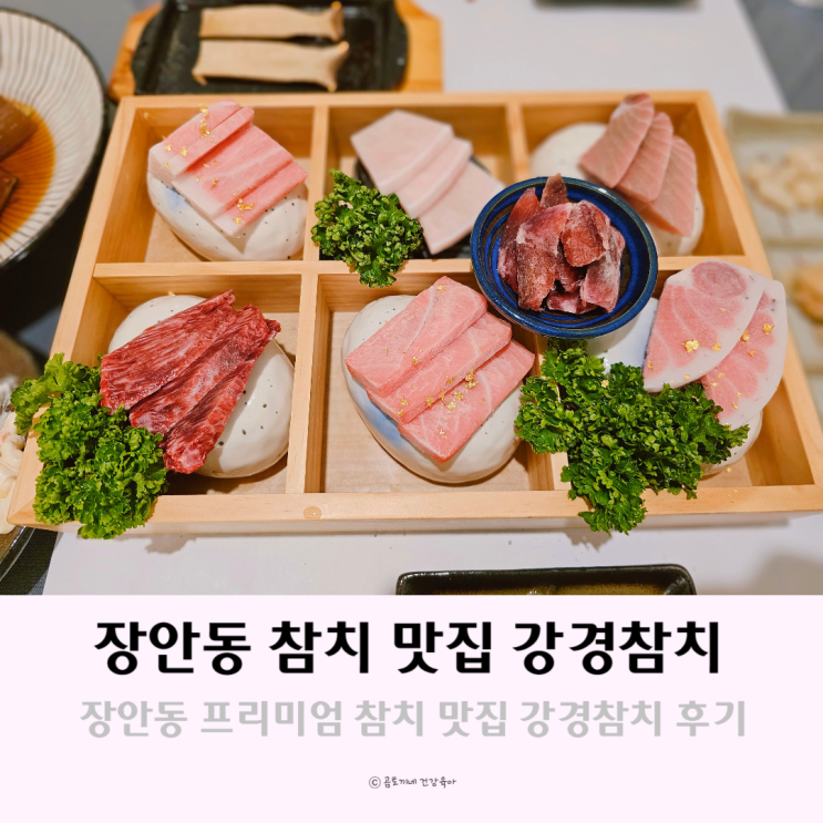 장안동 프리미엄 참치 맛집 강경참치에서 스페셜코스 후기