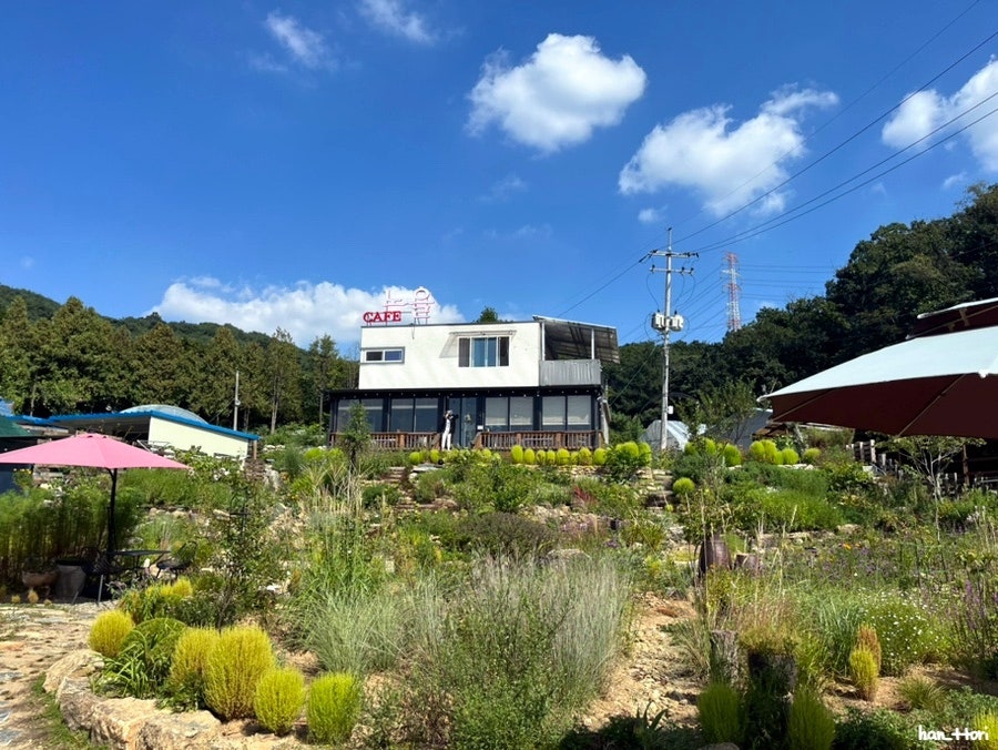 야생화카페노을 사진 1