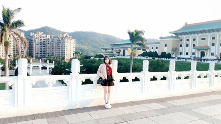  4박 5일 대만 여행 일정 4일차 | FX호텔, 딤섬이 맛있는 딘다이펑, 세계 3대 박물관 고궁박물관, 스린야시장, 유황온천 스프링시티 리조트 강력추천