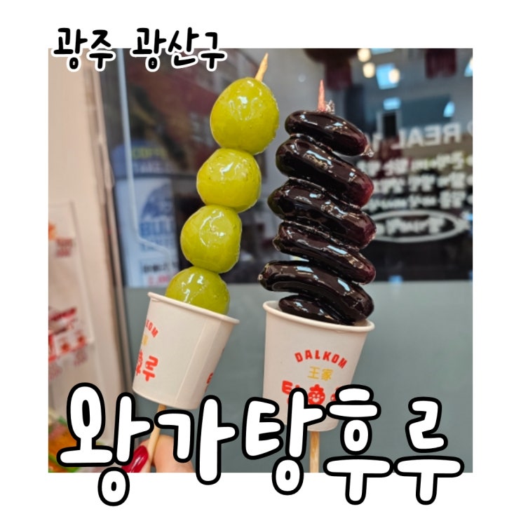  선운지구 왕가 탕후루 요즘 MZ 코스라며? 뜻부터 보관까지!