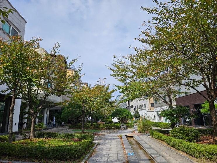  판교 카페 오브차 백현동 카페거리 조용한 찻집