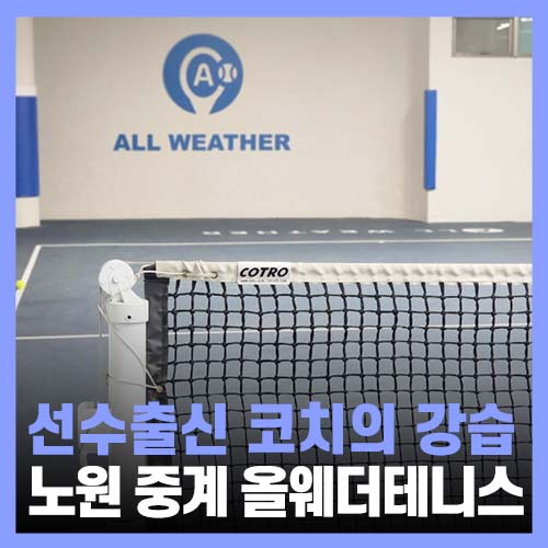  노원테니스 선수출신 코치 강습, 올웨더테니스