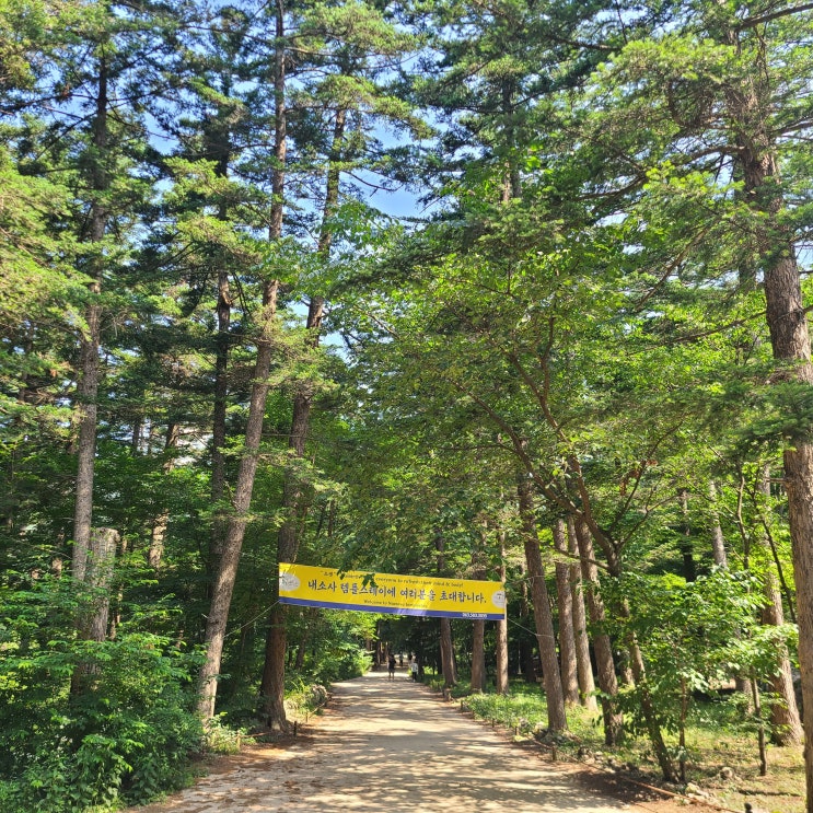  변산 가볼만한 곳 내소사