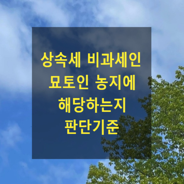  상속 - 상속세 비과세인 묘토인 농지에 해당하는지 판단기준