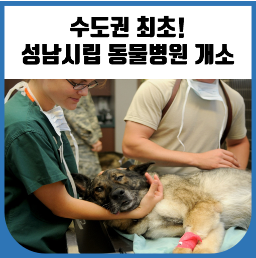 수도권 최초! 성남<b>시립</b> 동물<b>병원</b> 개소