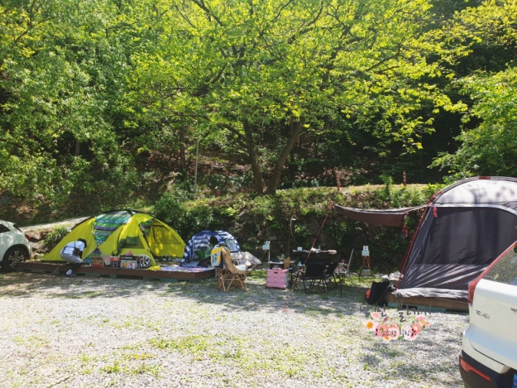  주차자리 편하고 앞마당 넓은곤지암 야영장 한국스카우트 연맹 예약 위치 체험