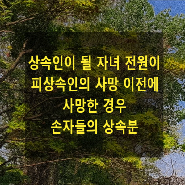  상속 - 상속인이 될 자녀 전원이 피상속인의 사망 이전에 사망한 경우 손자들의 상속분