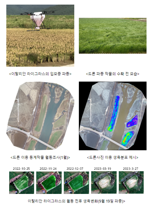 ‘이탈리안 라이그라스’ 파종, 무인기(드론)로 한 번에 해결