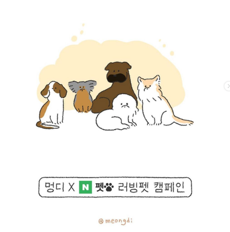  10월4일 세계동물의날 기념 러빙펫 캠페인 참여하고 해외입양에 손길을 내밀어주세요(10/2~10/15)